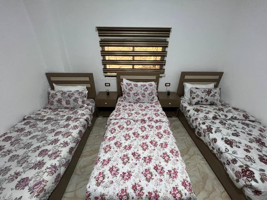 וואדי מוסא Z3 Apartment מראה חיצוני תמונה