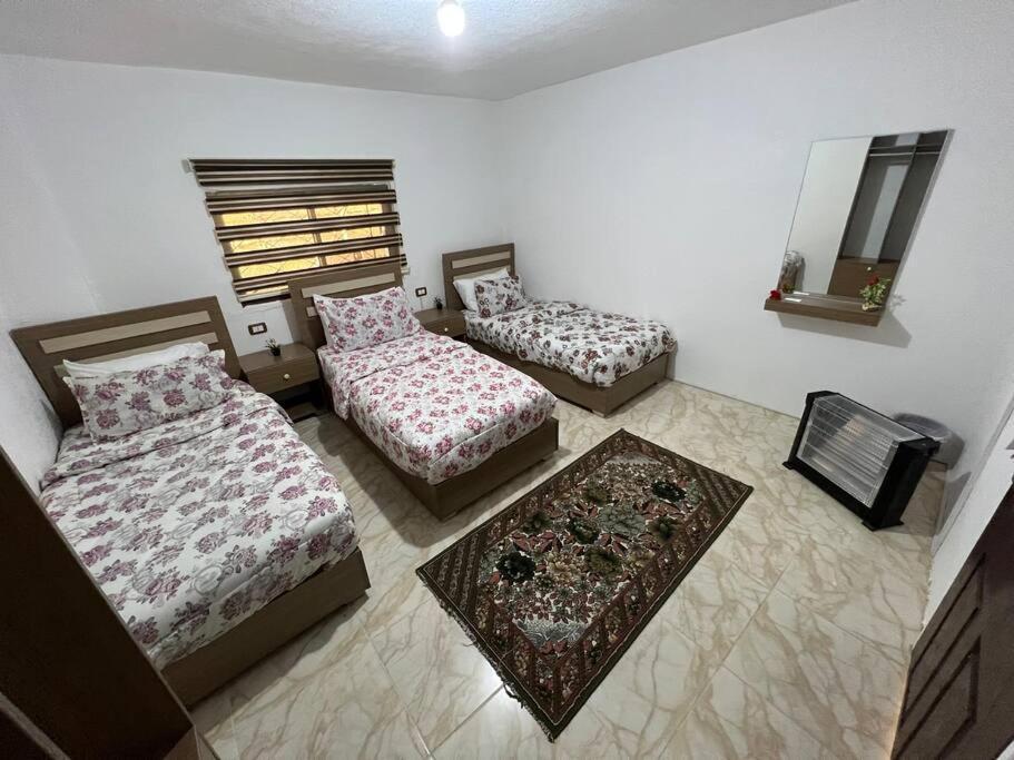 וואדי מוסא Z3 Apartment מראה חיצוני תמונה